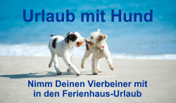 urlaub mit hund